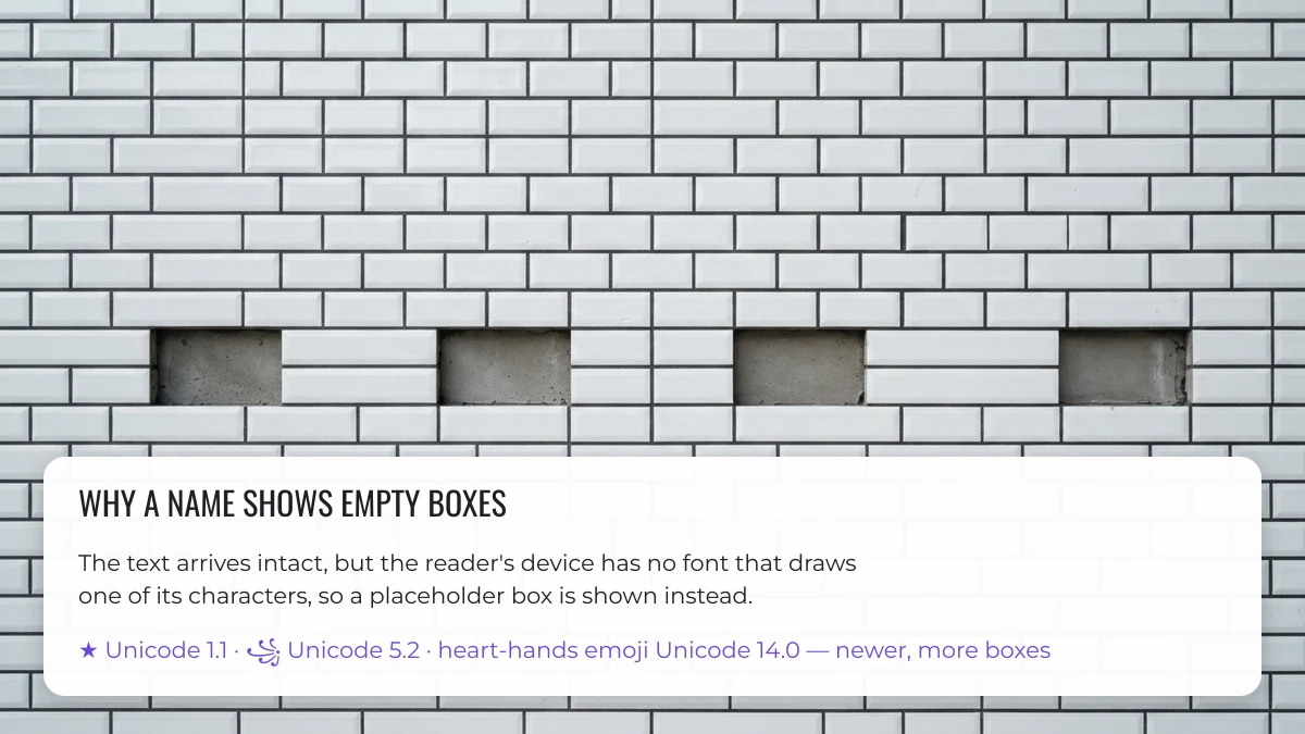 Why a styled name shows empty boxes: the device has no font for a character, shown as missing tiles in a wall